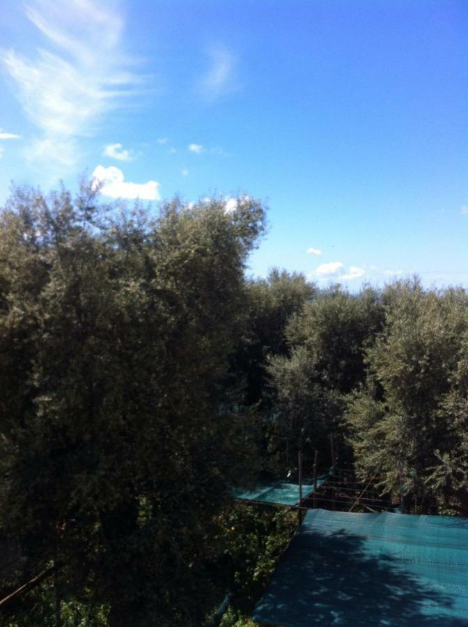 Casa Iolanda Villa Sorrento Buitenkant foto